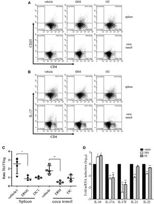 Indole Treatment Alleviates Intestinal Tissue Damage Induced by Chicken Coccidiosis Through Activation of the Aryl Hydrocarbon Receptor